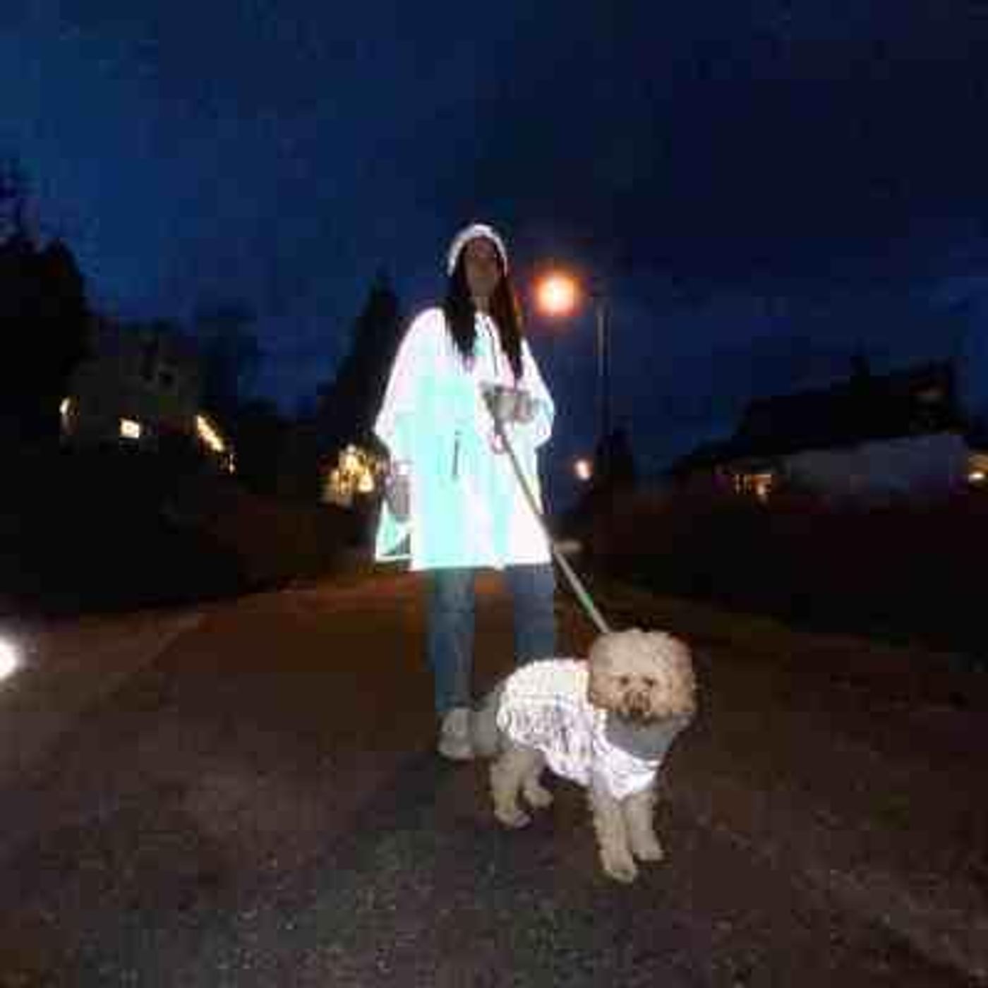 🐕Morild Bestevenn Genser XS/25cm med refleks, sand