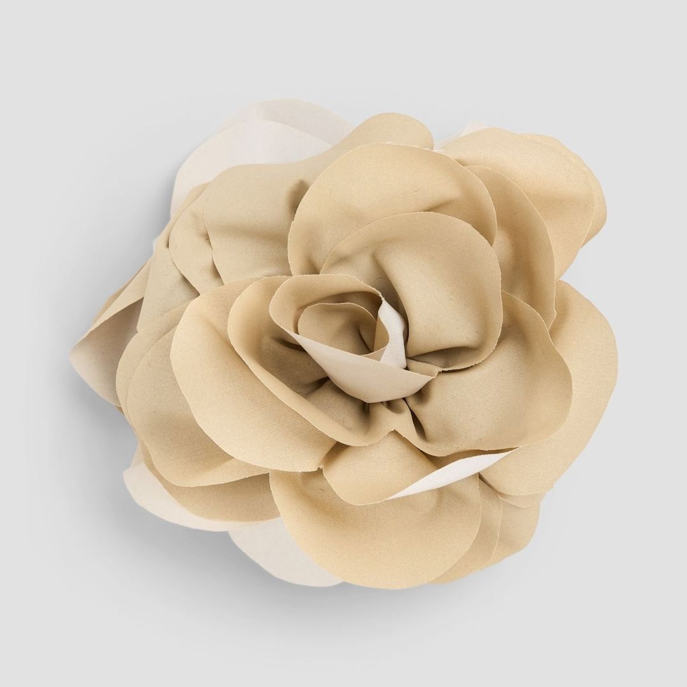 Morild Hårklype med blomst og refleks, sand